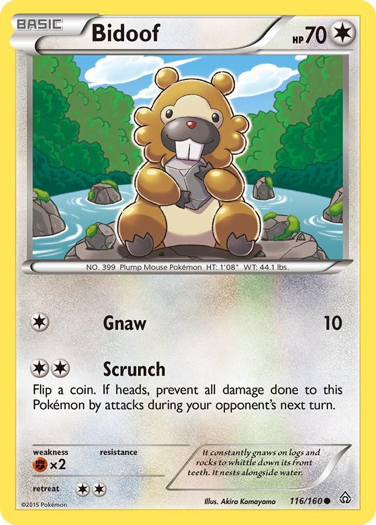 Bidoof #116
