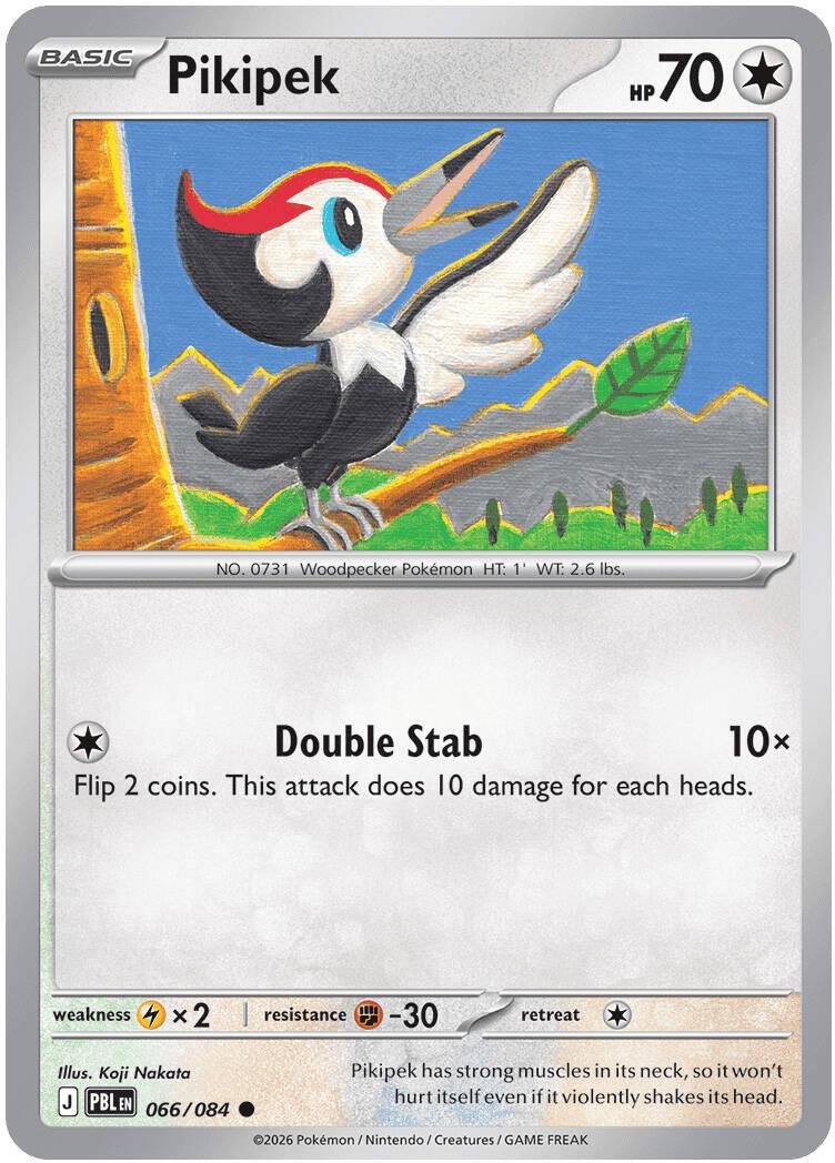 Pikipek #66