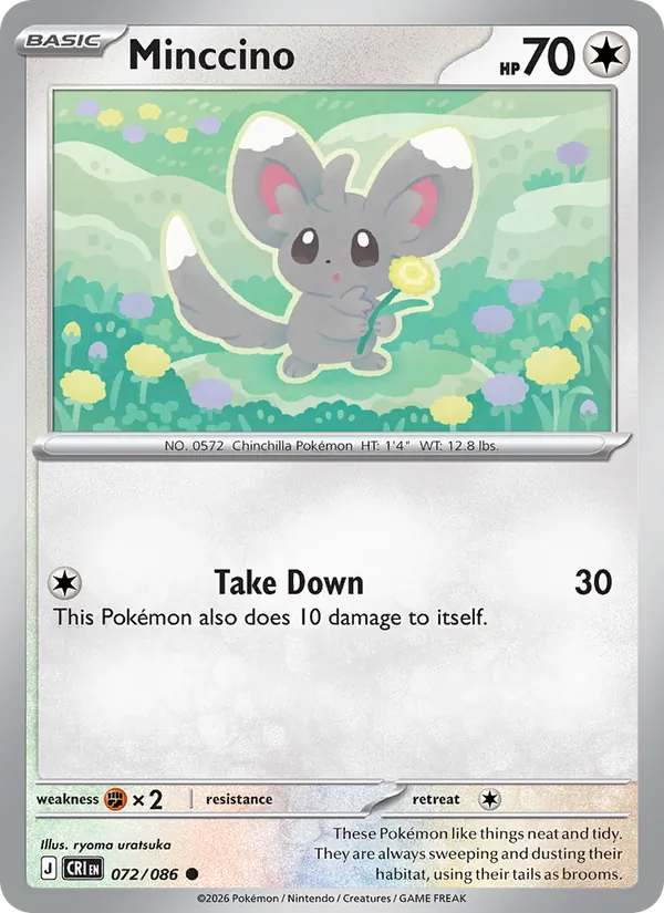 Minccino #72